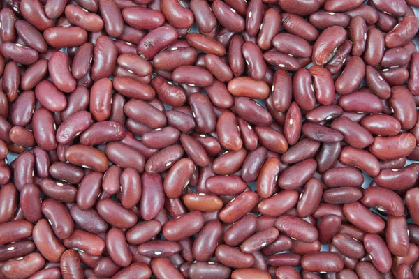 붉은 콩 질감 배경 — 스톡 사진