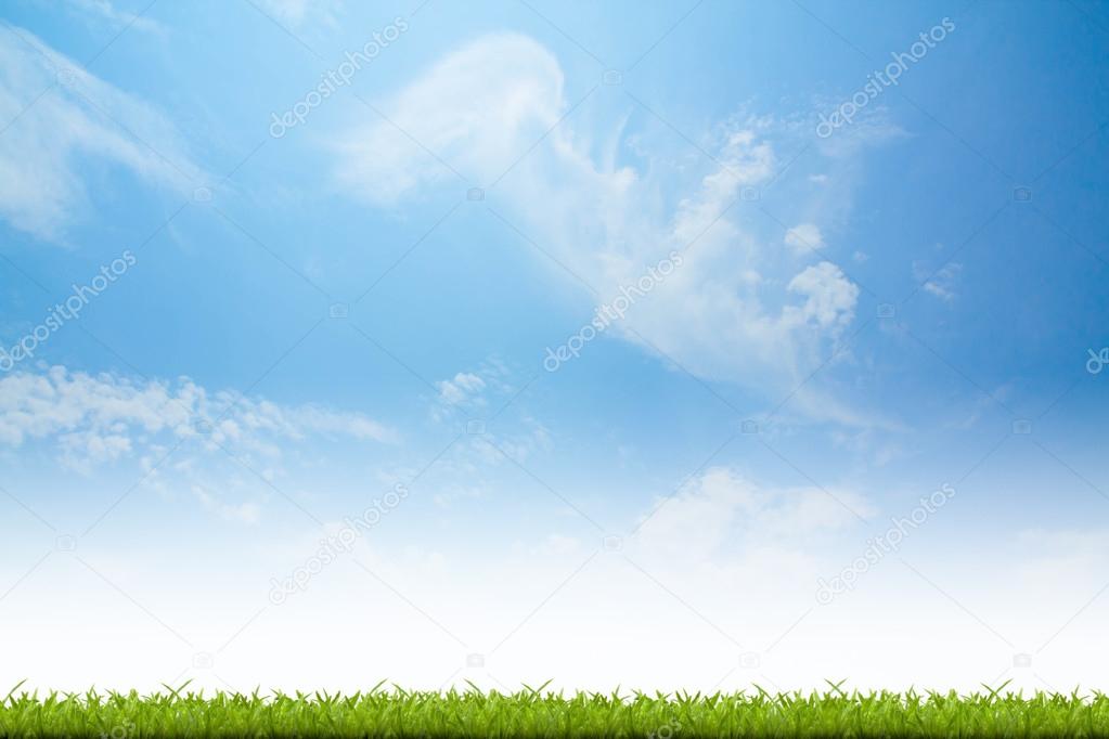 Fresh spring green grass with blue sky