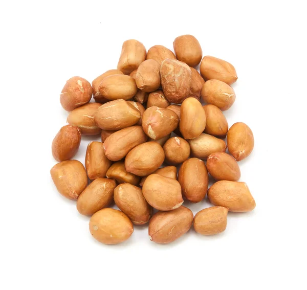 Amendoim soja isolada — Fotografia de Stock