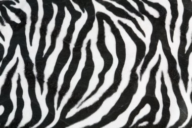 Zebra arka plan doku