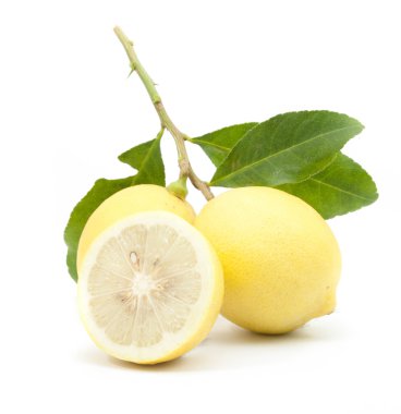 iki olgun portre limon