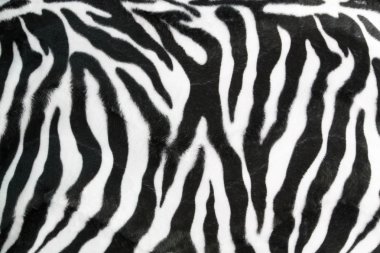 Zebra arka plan doku