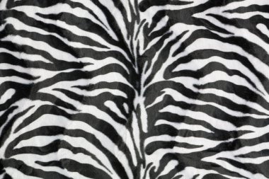 Zebra arka plan doku