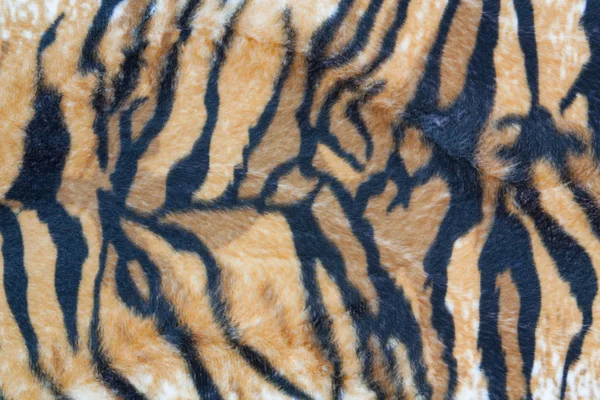 美丽的老虎皮彩色纹理 — 图库照片
