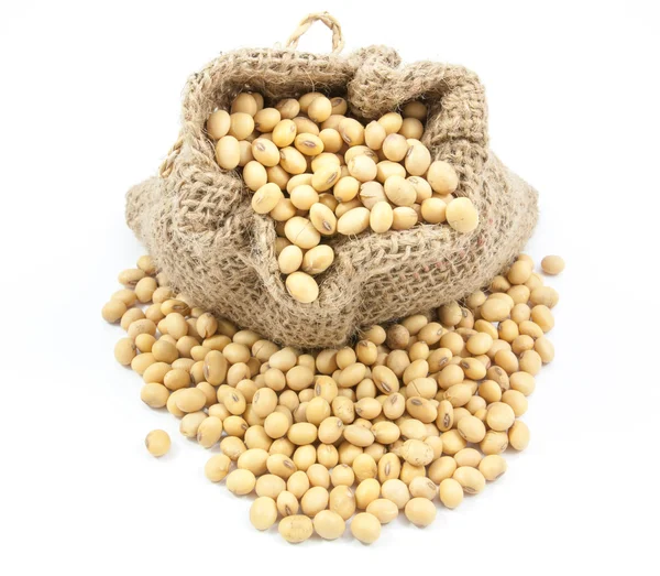 Dried soybean  in canvas sack — Stock Photo, Image