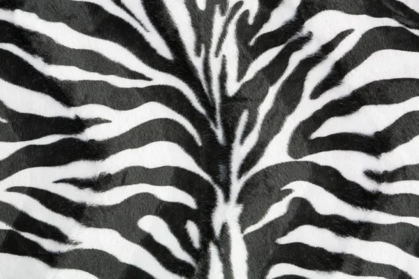 Zebra textur bakgrund — Stockfoto