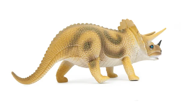 Tricerátops dinossauro isolado — Fotografia de Stock