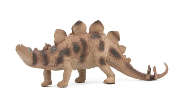 Stegosaurus dinosaure isolé — Photo