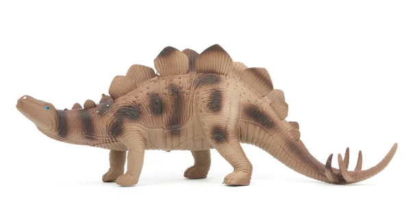 Stegosaurus dinosaure isolé — Photo