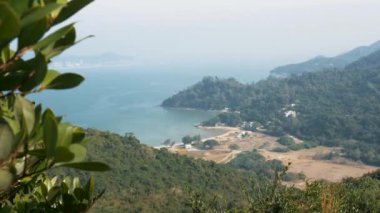 Körfezde panoramik bir manzara, temiz kum ve arka planda yeşil orman.