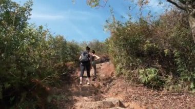  Hong Kong - 22 Ocak 2020: İki güzel genç kadın spor giysileri içinde ormanda yürüyor 