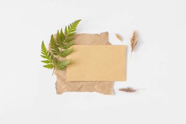 Eğrelti otu yeşil yapraklı el işi kağıt dikdörtgen çerçeve modeli, pampalar düz beyaz arka plan üst görünümü üzerinde yatıyordu. Tarafsız tonlarda minimalizm kompozisyonu. Kopya alanı ile boş şablon. Ekoloji