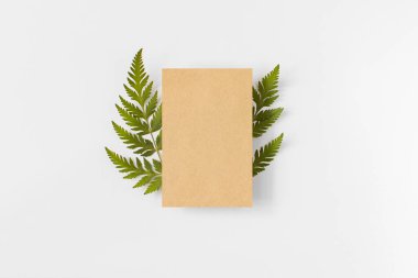 Eğrelti otu yeşil yapraklı el işi kağıt dikdörtgen çerçeve modeli, beyaz arka plan manzaralı çim düzlüğü. Tarafsız tonlarda minimalizm kompozisyonu. Kopya alanı ile boş şablon. Ekoloji, orman