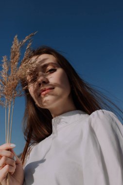 Beyaz bluzlu gülümseyen genç bir kadın tarlada duruyor ve elinde kuru otlardan oluşan fren kollarıyla gökyüzünün önünde duruyor. Boho tarzı ve moda. Kıyafet giymiş bir kız, yakın plan yüz resmi. Altın saat güneş ışığı