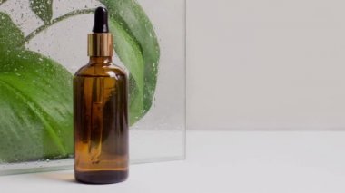Moving picture of dropper pipette bottle in front of green leaves, glass with water drops side view, copy space. Serum, acid on podium. Organic, natural cosmetic. Beauty, skincare, spa product