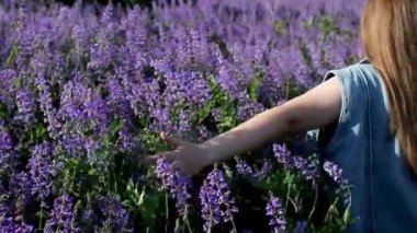 Çiçeklere elle dokunan tanınmayan bir kadın. Kollarını açmış, mor çiçeklerin arasında tek başına duran ve arkadaki yeşil çimenli kız. Yaz eğlencesi.