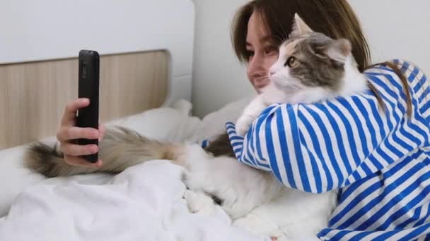 Wanita muda tersenyum milenial mengambil selfie dengan kucing di smartphone di rumah di tempat tidur. Penyalur media sosial mengambil foto dengan teman. Bersenang-senang dengan hewan peliharaan. Manusia, teknologi dan hewan. — Stok Video