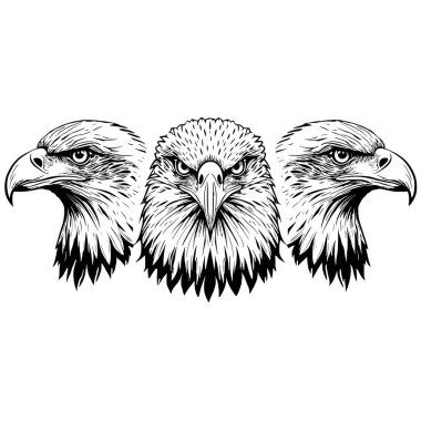 Çarpıcı bir siyah-beyaz skeç, profil ve ön cephe görünümlü üç ayrıntılı kartal kafası içeriyor, güç ve yoğunluk aktarımı.