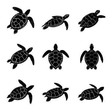 Dokuz farklı deniz kaplumbağası silueti beyaz bir zemin üzerinde sergilenir, her biri eşsiz bir yüzme ya da dinlenme duruşu içinde.