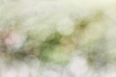 Yeşil Bokeh bulanıklık