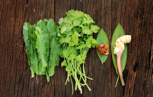 Zenzero galangale, prezzemolo e erba vegetale tailandese — Foto Stock