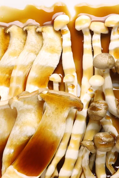 Коричневий гриб на блюдо з соусом. — стокове фото