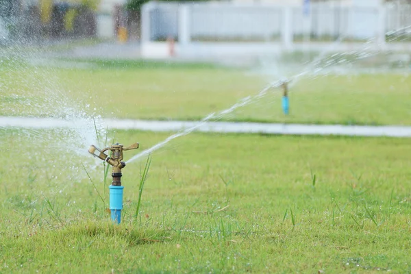 Riego por aspersión de agua en el parque . — Foto de Stock