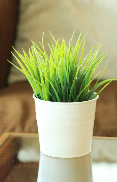 Green grass leaves in pot — Stock Photo, Image