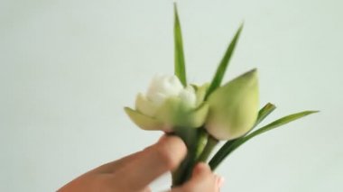 Kadının katlama lotus el Buda rahipler, Hd klip, Tayland için.