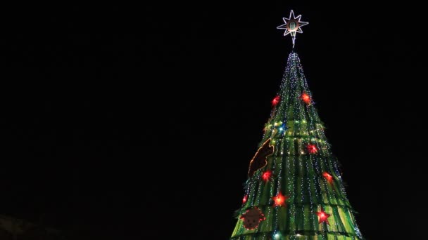 Árvore de Natal luz, desfocagem — Vídeo de Stock