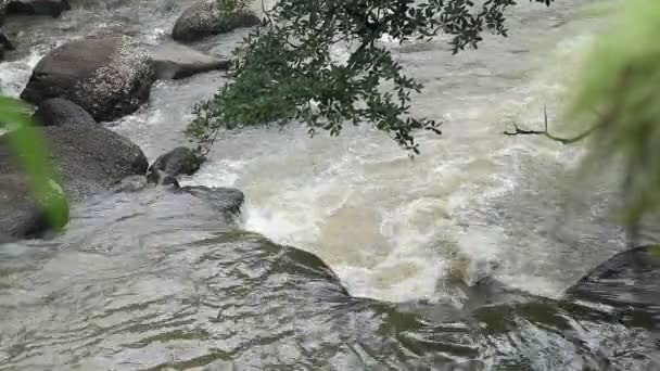 Cachoeira Haew Su Wat, Parque Nacional Khao Yai, Tailândia . — Vídeo de Stock