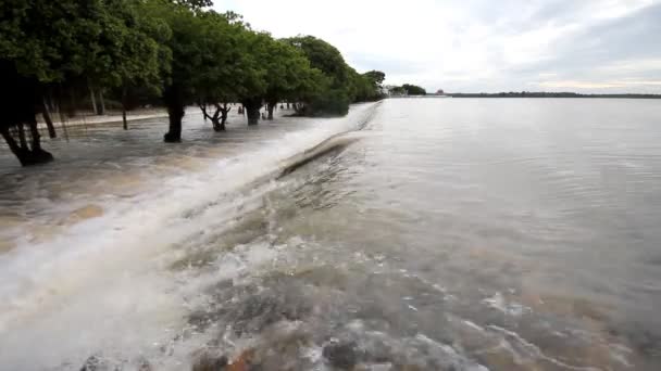 Set montaggio raccolta, Inondazione, Flusso d'acqua su strada, sfondo linea degli alberi . — Video Stock