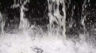 Haew Su Wat şelale tropikal orman, Khao Yai Milli Parkı, Tayland. yakın çekim.