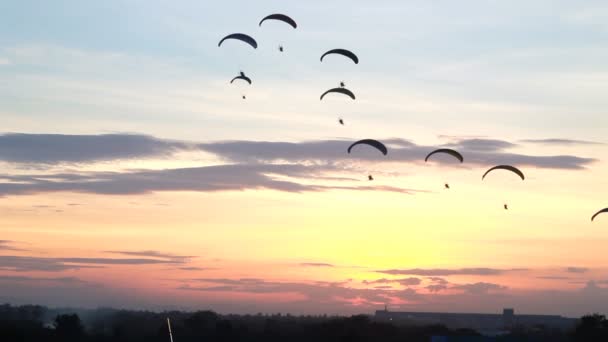 Set montaggio raccolta, Gruppo di paracadute o paramotore volare al tramonto, attività sportiva, clip ad alta definizione, Thailandia . — Video Stock