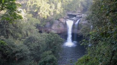 Haew Su Wat Şelalesi Tropikal Orman, Khao Yai Ulusal Parkı, Tayland.