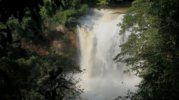Haew Su Wat Waterfall tropical forest, Khao Yai National park, Thailandia . — Video Stock