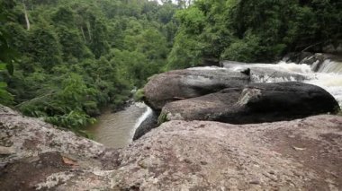 Haew Su Wat Şelalesi Tropikal Orman, Khao Yai Ulusal Parkı, Tayland.