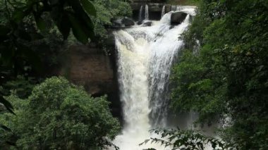 Haew Su Wat Şelalesi Tropikal Orman, Khao Yai Ulusal Parkı, Tayland.