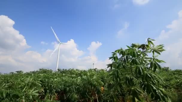 Зелений луг з вітровими турбінами — стокове відео