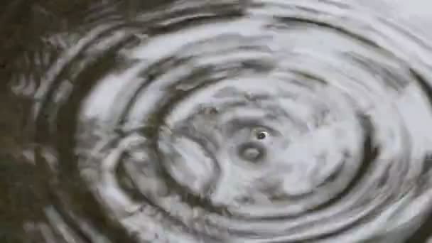 ondulations de l'eau