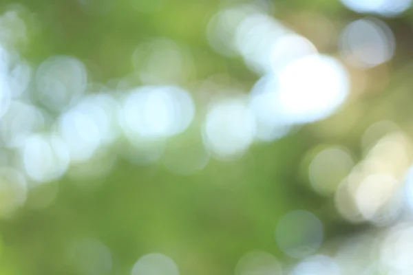 Fondo bokeh o desenfoque . — Foto de Stock