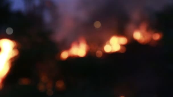 Flou ou flou Tempête de brûlure dans la forêt .