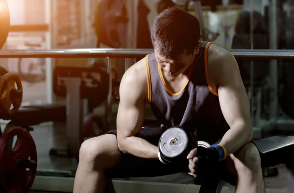 Muscular man working out with dumbbells — Stock Photo, Image