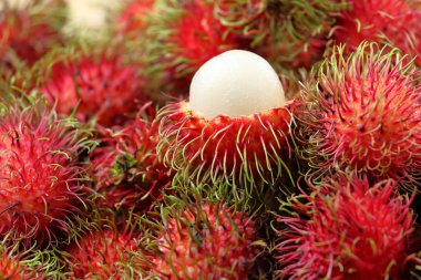 taze rambutan