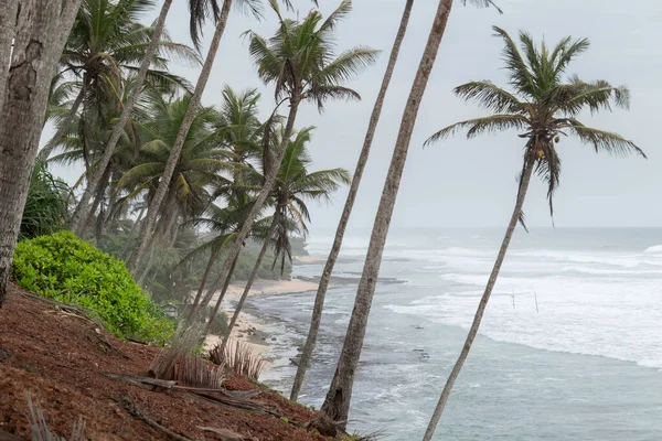 Mirissa Coconut Tree Hill Ist Eines Der Besten Touristenziele Der — Stockfoto