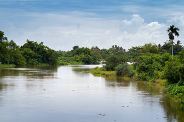 Sri Lanka, Galle, Hapugala 'da sakin bir göl manzarası. Mavi gökyüzü ve ağaçlar suyu yansıtıyor,