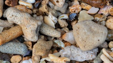 Sahilde renkli mercanlar, çakıl taşları ve kayalar var..