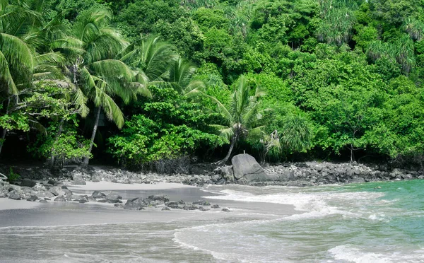 Jungle Plage Vue Pittoresque Dessus Photographie Paysage Verdure Plage Sable — Photo