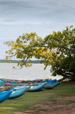 Büyük doğal rezervuar ve kıyı şeridindeki tekneler, karanlık kara bulutlar ve aydınlatılmış ağaç yaprakları akşam manzarası fotoğrafında güzel bir drama yaratıyor. Hambantota bölgesindeki kırsal köy