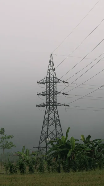 Early morning mist in the rural village electric pylon in the middle of a paddy field, wires leads the viewer ayes to the tall standing pole in the middle in the landscape photograph.